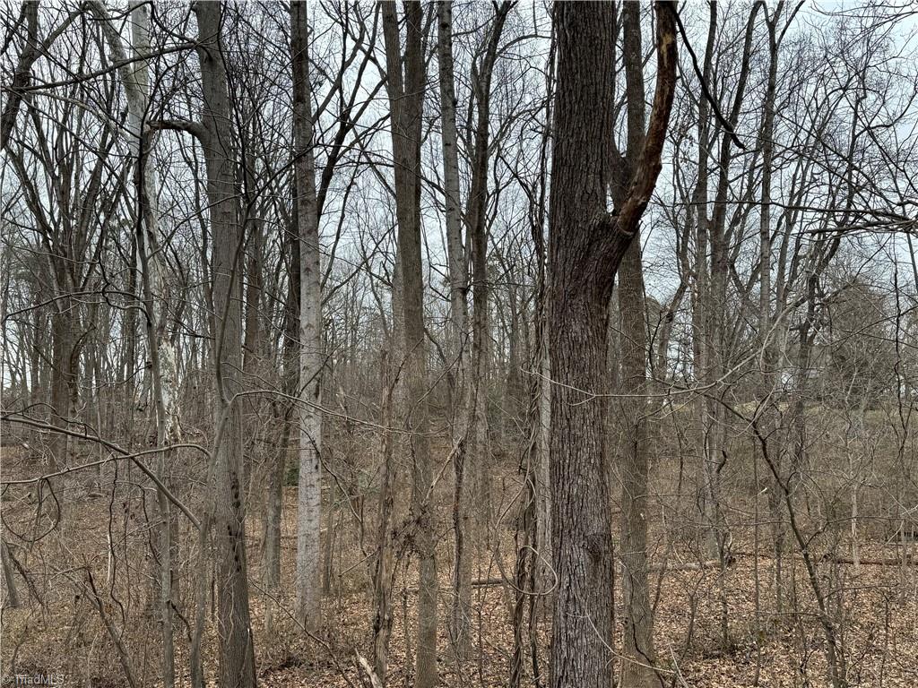 0 Old Salisbury Road Winston-Salem, NC 27127 - Photo 5 of 6