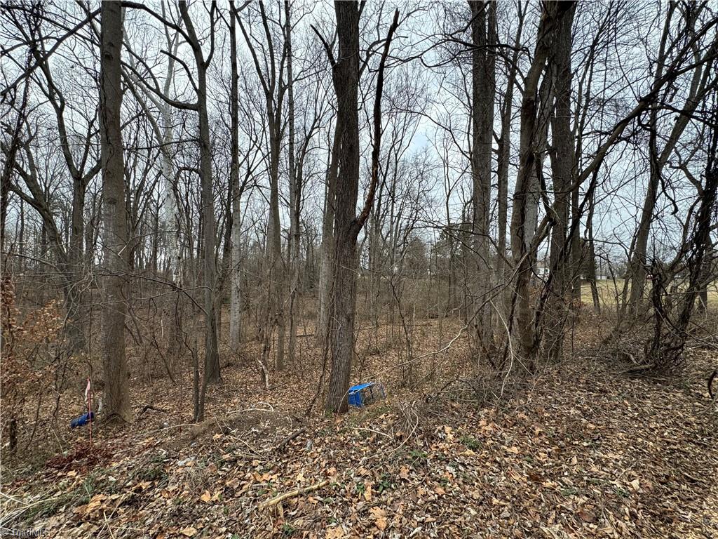 0 Old Salisbury Road Winston-Salem, NC 27127 - Photo 6 of 6