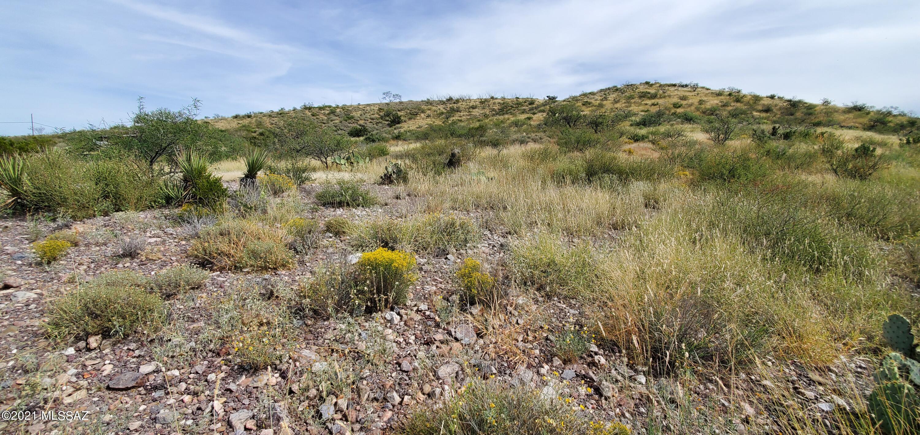 13781 South Bell Road Benson, AZ 85602 - Photo 25 of 38 Gallery Image 25