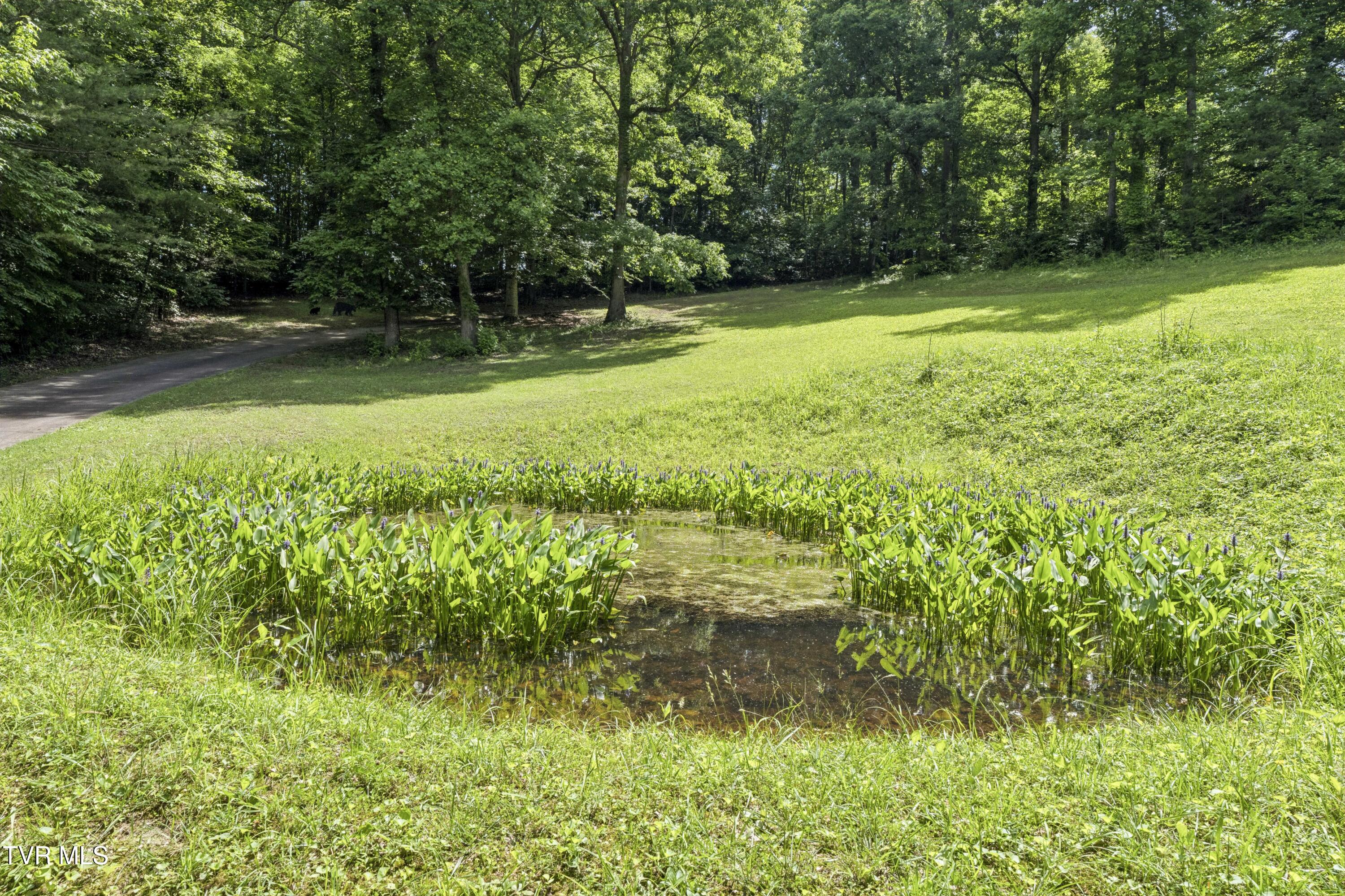 1820 Frank Roberts Road Afton, TN 37616 - Photo 59 of 73 Frank2-5