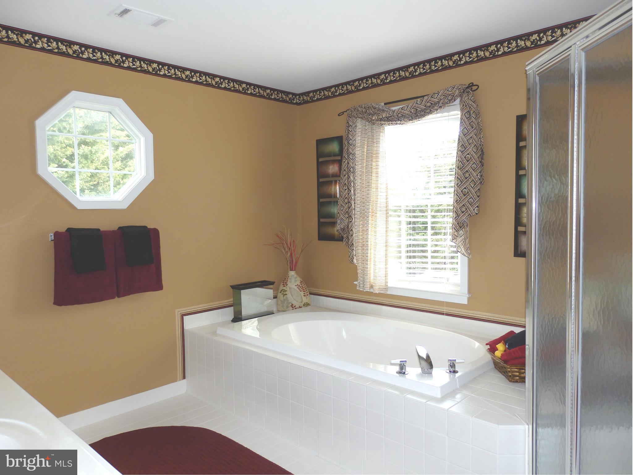 2543 Bear Den Road Frederick, MD 21701 - Photo 20 of 30 a bathroom with a bathtub and a shower