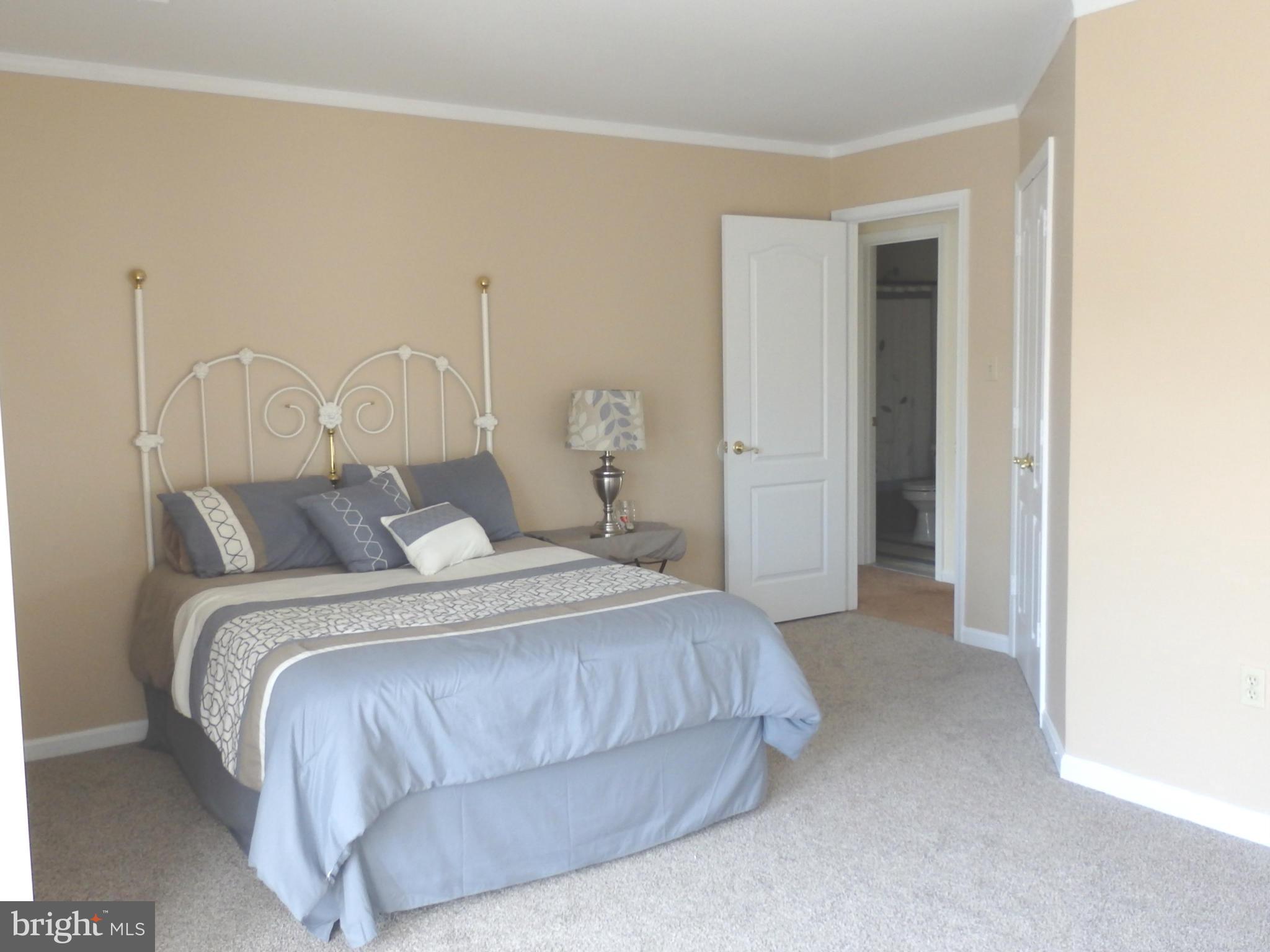 2543 Bear Den Road Frederick, MD 21701 - Photo 22 of 30 a bedroom with a bed and closet