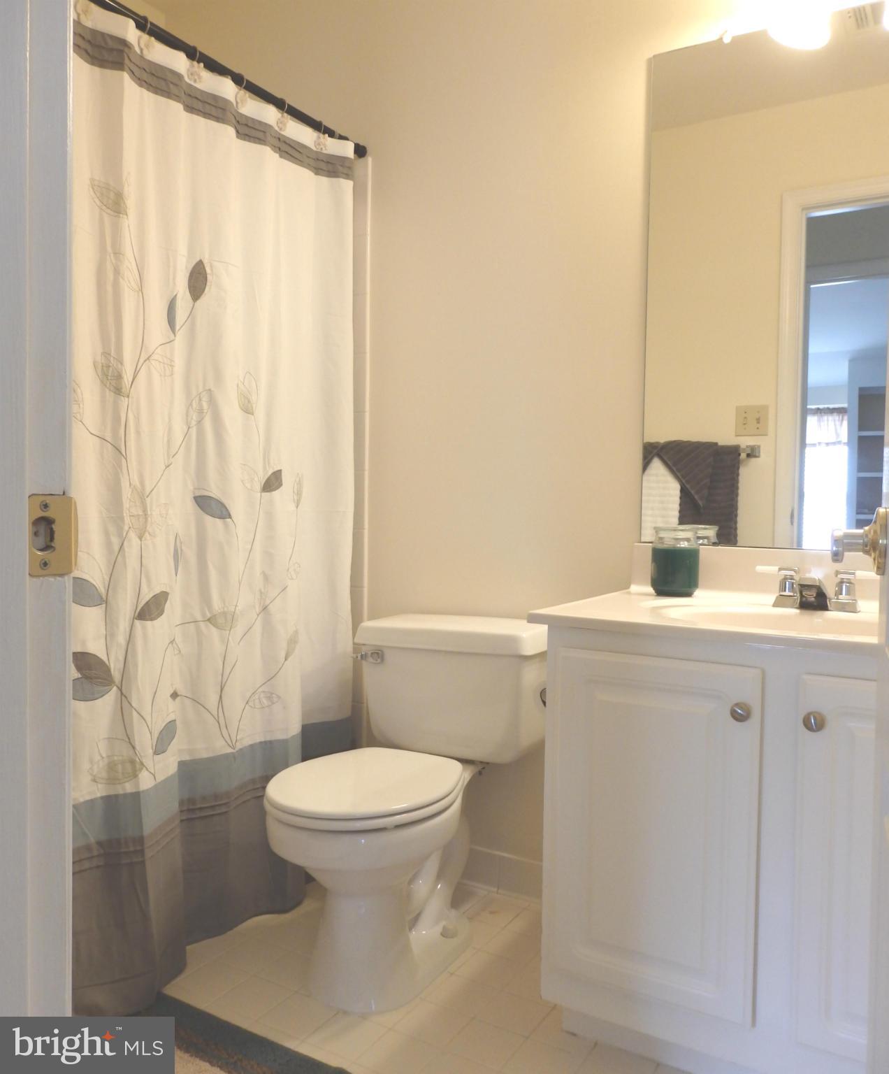 2543 Bear Den Road Frederick, MD 21701 - Photo 25 of 30 a bathroom with a sink a toilet and shower