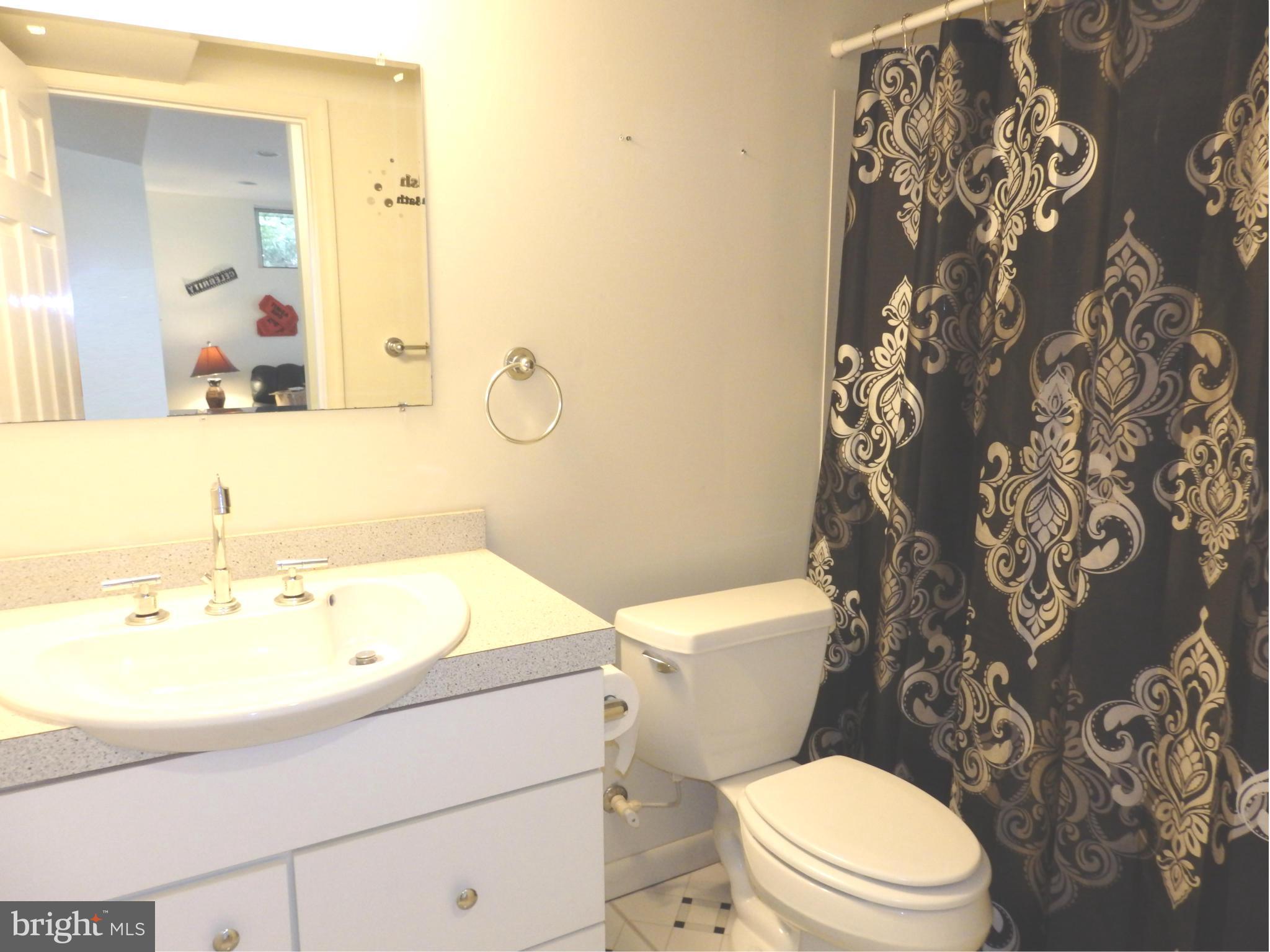2543 Bear Den Road Frederick, MD 21701 - Photo 29 of 30 a bathroom with a sink a toilet and shower