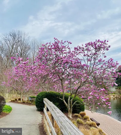 $1,075,000 | 11573 Hemingway Drive, Reston, VA 20194