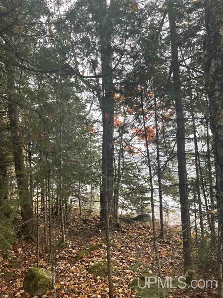 Tbd North Little Traverse Road Lake Linden, MI 49945 - Photo 10 of 17