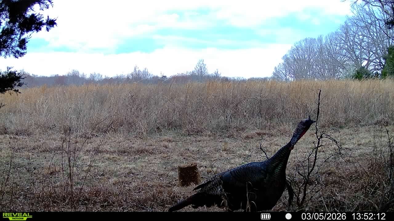 2340 Ridge Road McEwen, TN 37101 - Photo 11 of 72