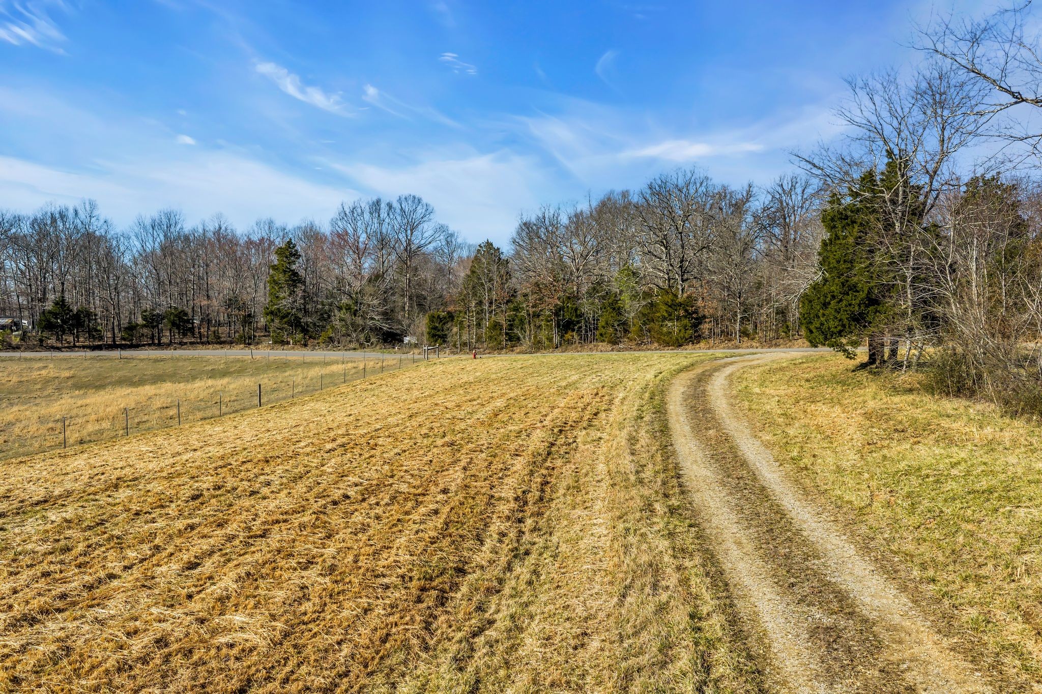 2340 Ridge Road McEwen, TN 37101 - Photo 14 of 72 a view of yard with swimming pool and trees