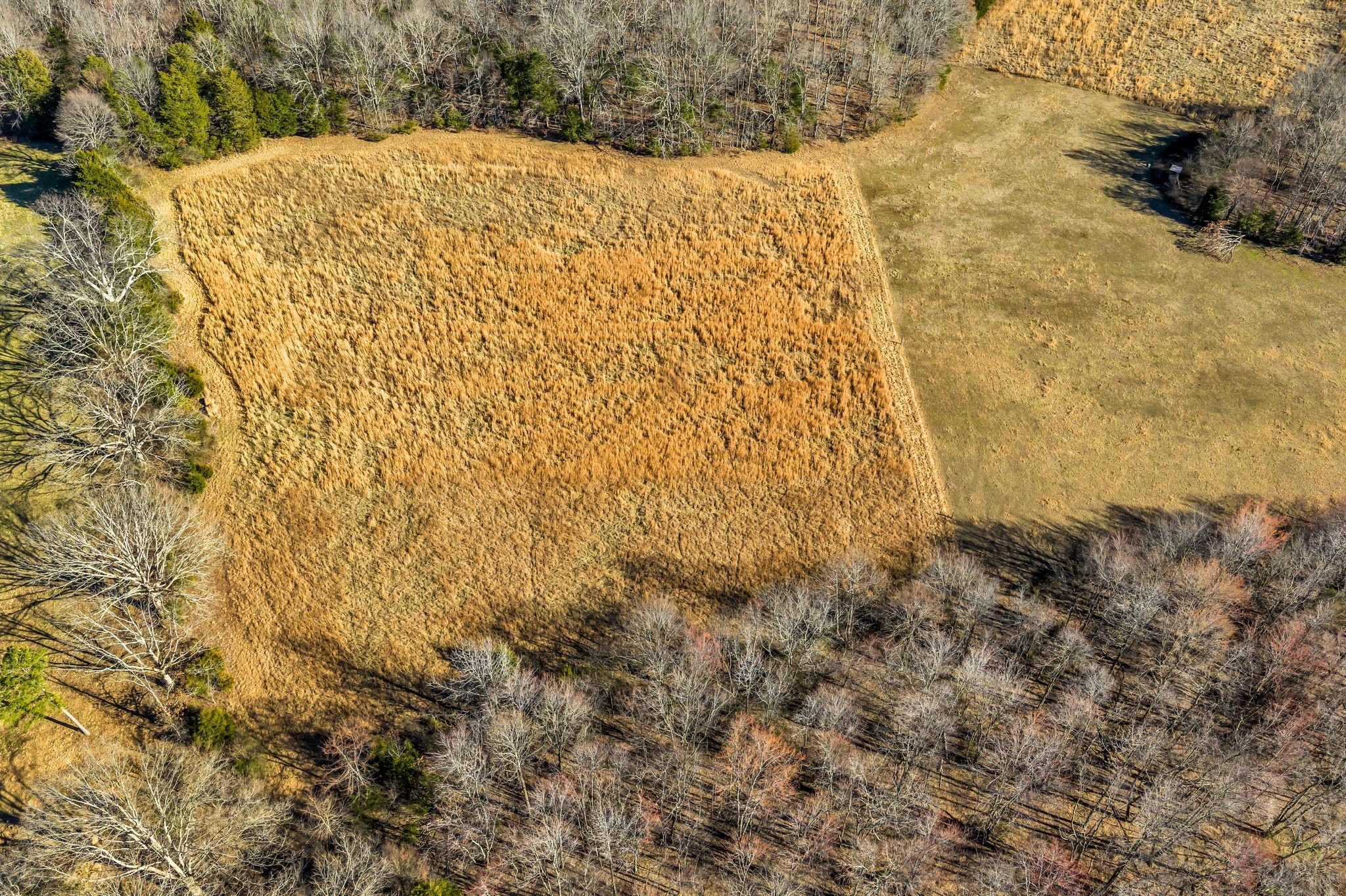 2340 Ridge Road McEwen, TN 37101 - Photo 37 of 72