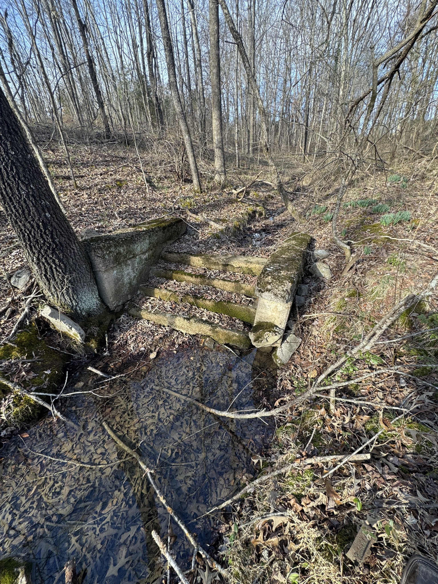 2340 Ridge Road McEwen, TN 37101 - Photo 4 of 72 a view of under construction area