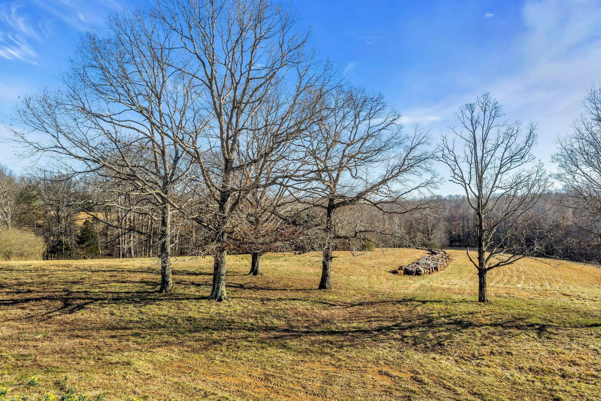 2340 Ridge Road McEwen, TN 37101 - Photo 51 of 72 a view of yard covered with snow