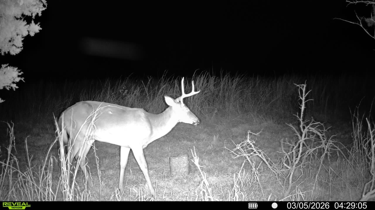 2340 Ridge Road McEwen, TN 37101 - Photo 8 of 72