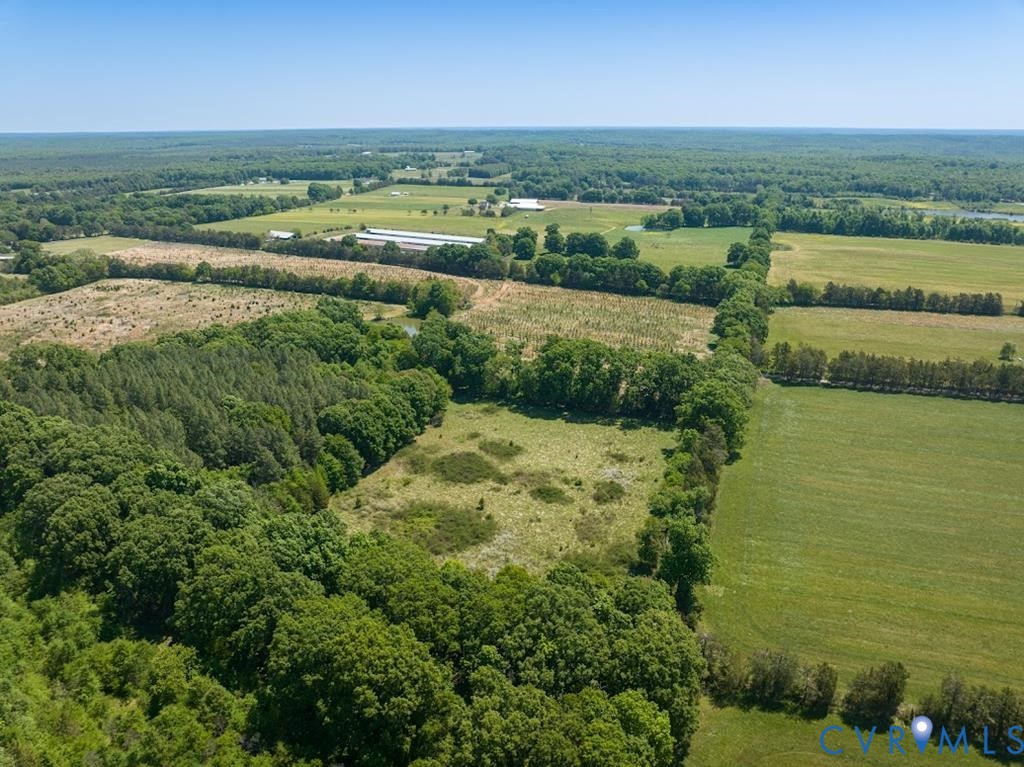 525 Raines Tavern Road Farmville, VA 23901 - Photo 31 of 47