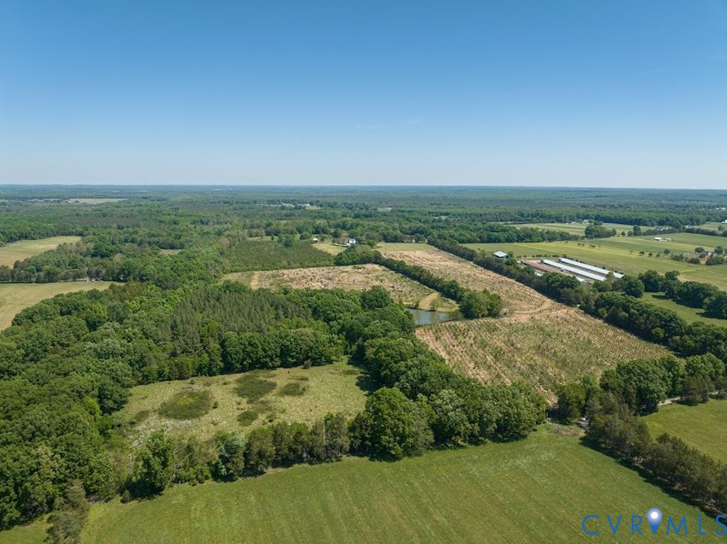 525 Raines Tavern Road Farmville, VA 23901 - Photo 32 of 47