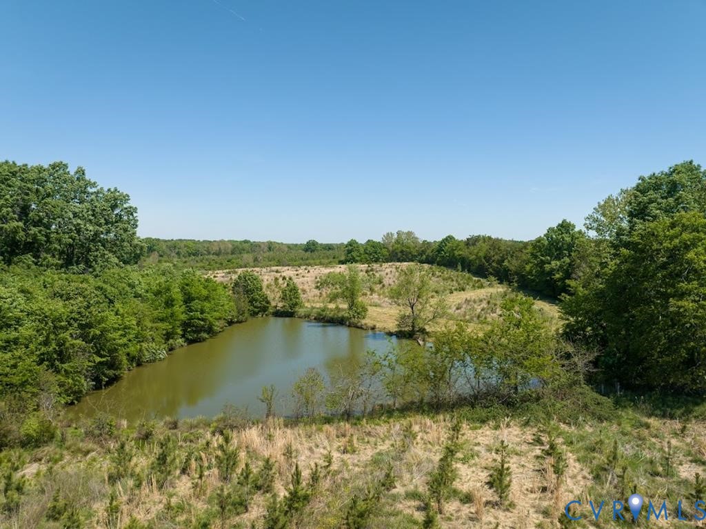 525 Raines Tavern Road Farmville, VA 23901 - Photo 46 of 47