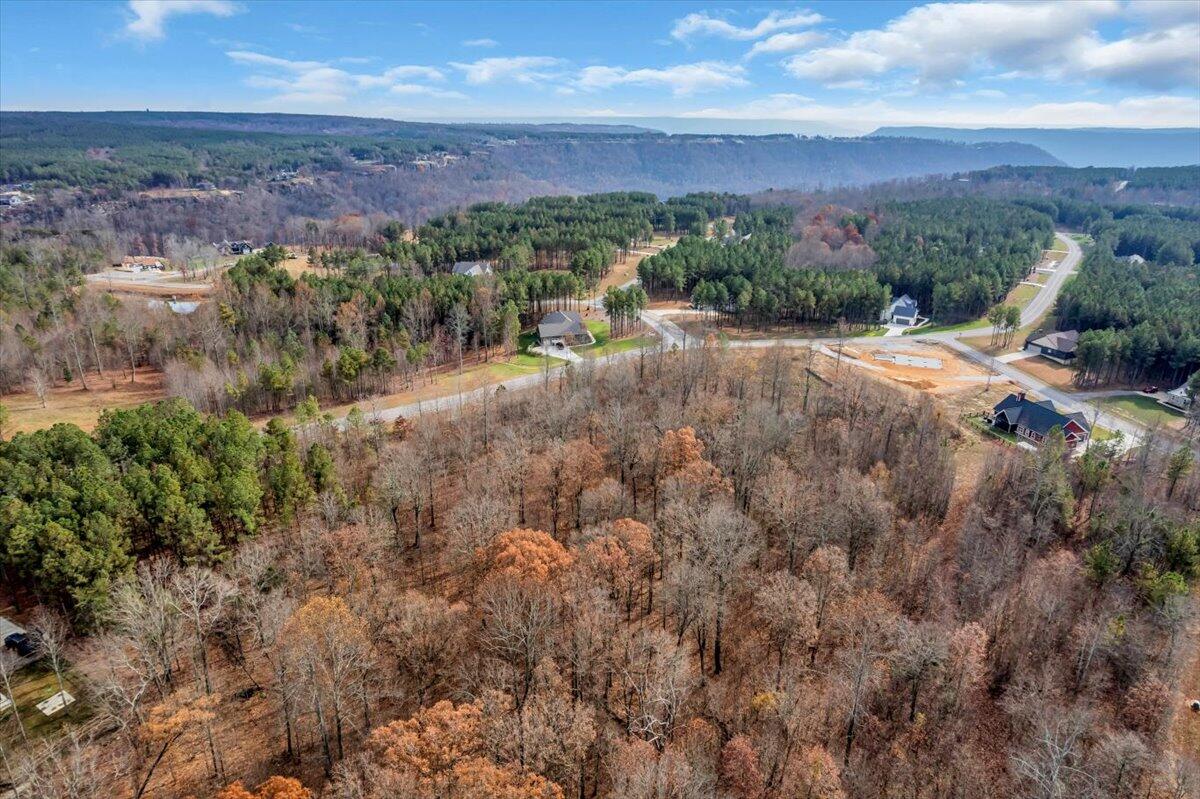 0 Crockett Pointe Point, Unit JF318 Jasper, TN 37347 - Photo 11 of 29 03-DJI_0009