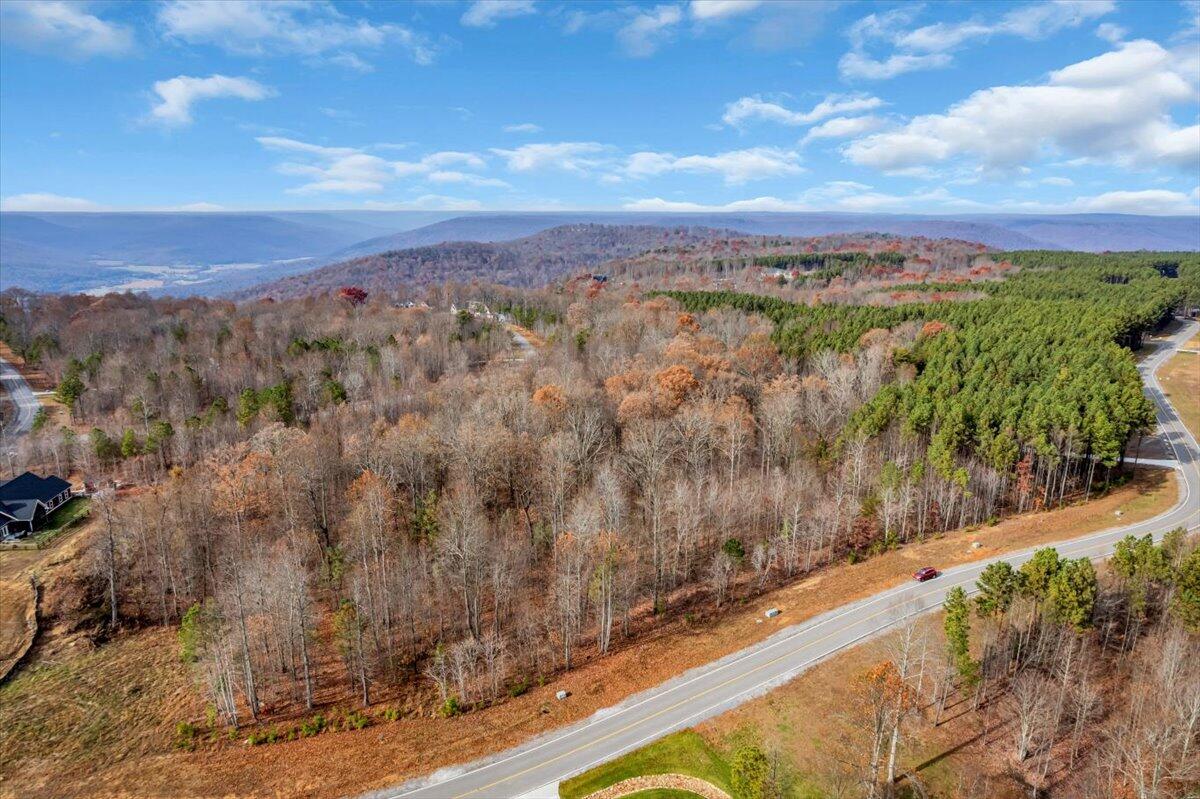 0 Crockett Pointe Point, Unit JF318 Jasper, TN 37347 - Photo 3 of 29 05-DJI_0003