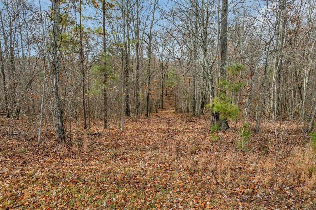 0 Crockett Pointe Point, Unit JF318 Jasper, TN 37347 - Photo 4 of 29 06-DJI_0018