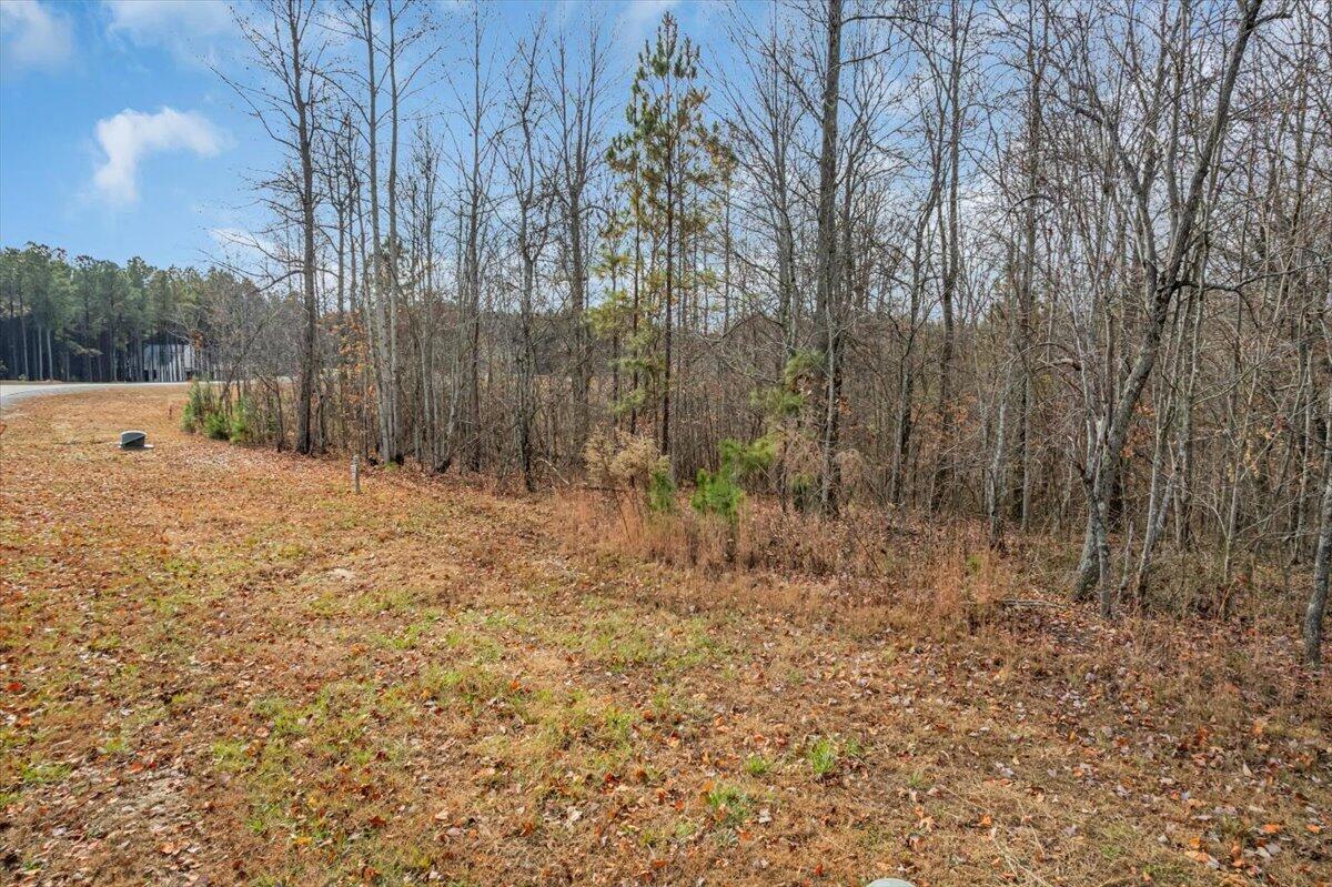 0 Crockett Pointe Point, Unit JF318 Jasper, TN 37347 - Photo 5 of 29 07-DJI_0021