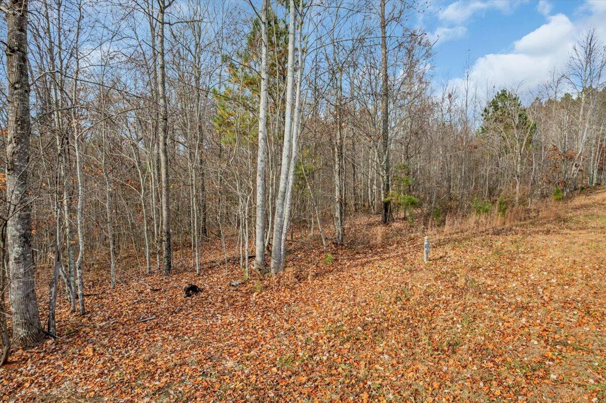 0 Crockett Pointe Point, Unit JF318 Jasper, TN 37347 - Photo 6 of 29 08-DJI_0024