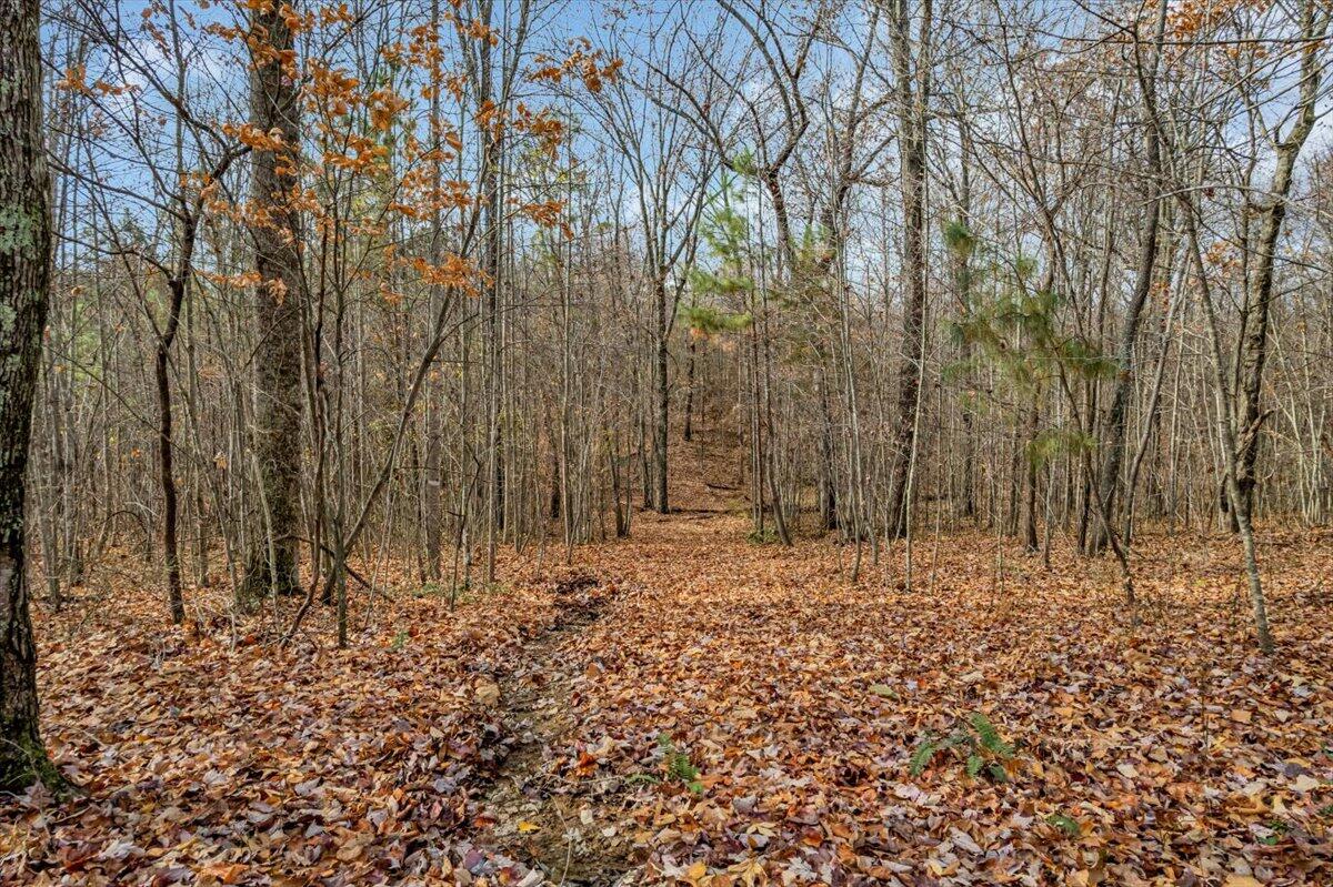 0 Crockett Pointe Point, Unit JF318 Jasper, TN 37347 - Photo 7 of 29 09-DJI_0027
