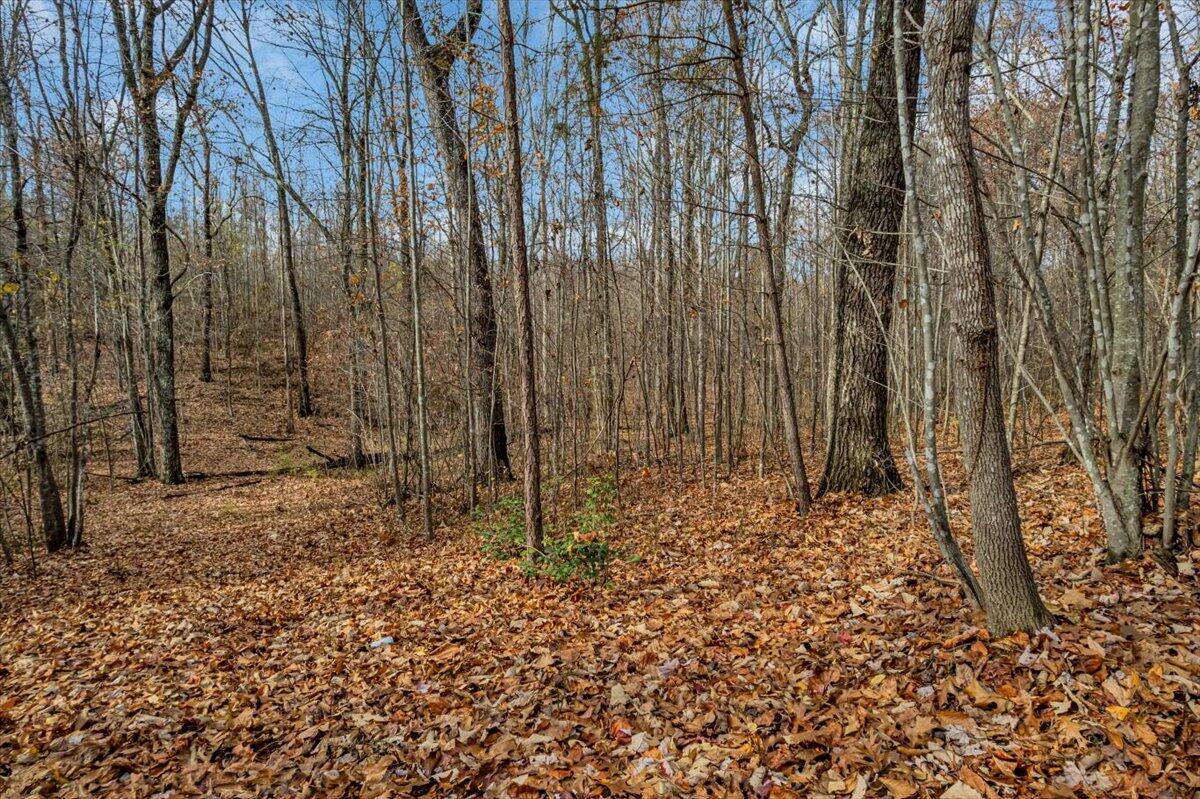 0 Crockett Pointe Point, Unit JF318 Jasper, TN 37347 - Photo 8 of 29 10-DJI_0030