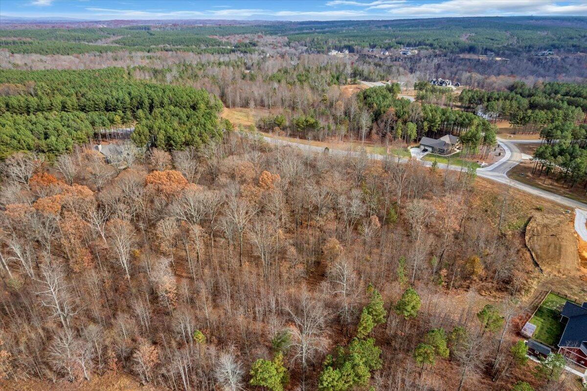 0 Crockett Pointe Point, Unit JF318 Jasper, TN 37347 - Photo 10 of 29 02-DJI_0012