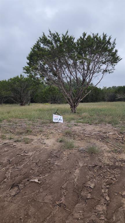 1129 County Road Nemo, TX 76070 - Photo 18 of 29 a view of outdoor space with city view