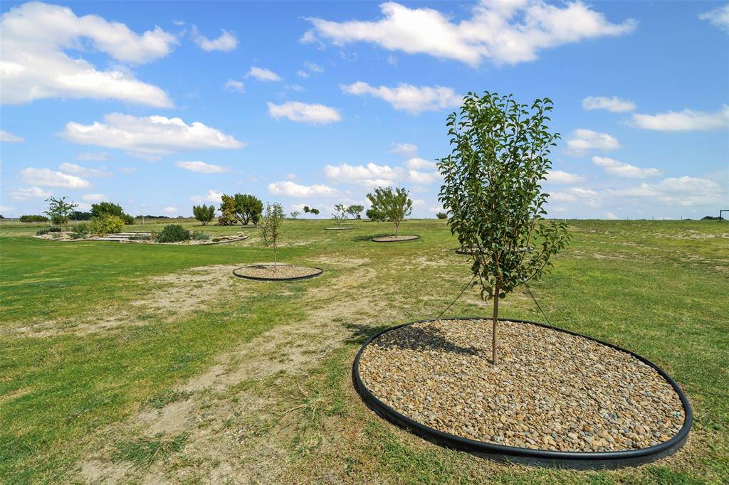 2045 Ellis Ridge Drive Weatherford, TX 76087 - Photo 31 of 40 View of green lawn featuring a view of countryside