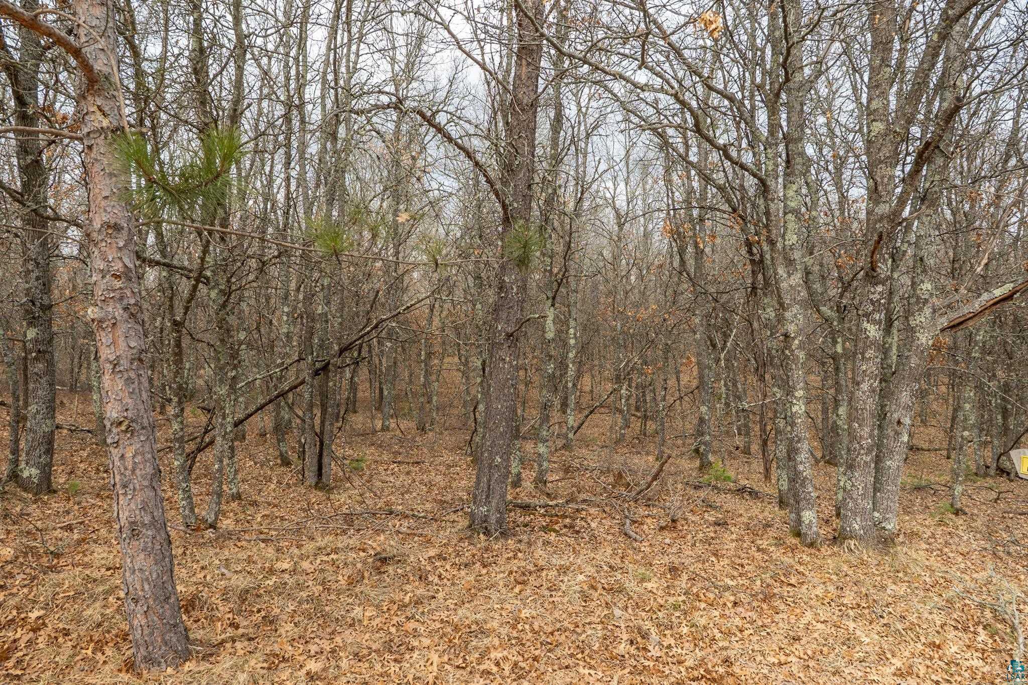 Lot 6 South Madison Avenue Gordon, WI 54838 - Photo 6 of 8