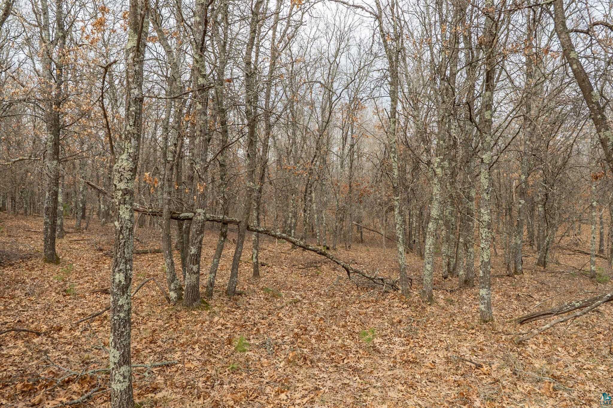 Lot 6 South Madison Avenue Gordon, WI 54838 - Photo 7 of 8