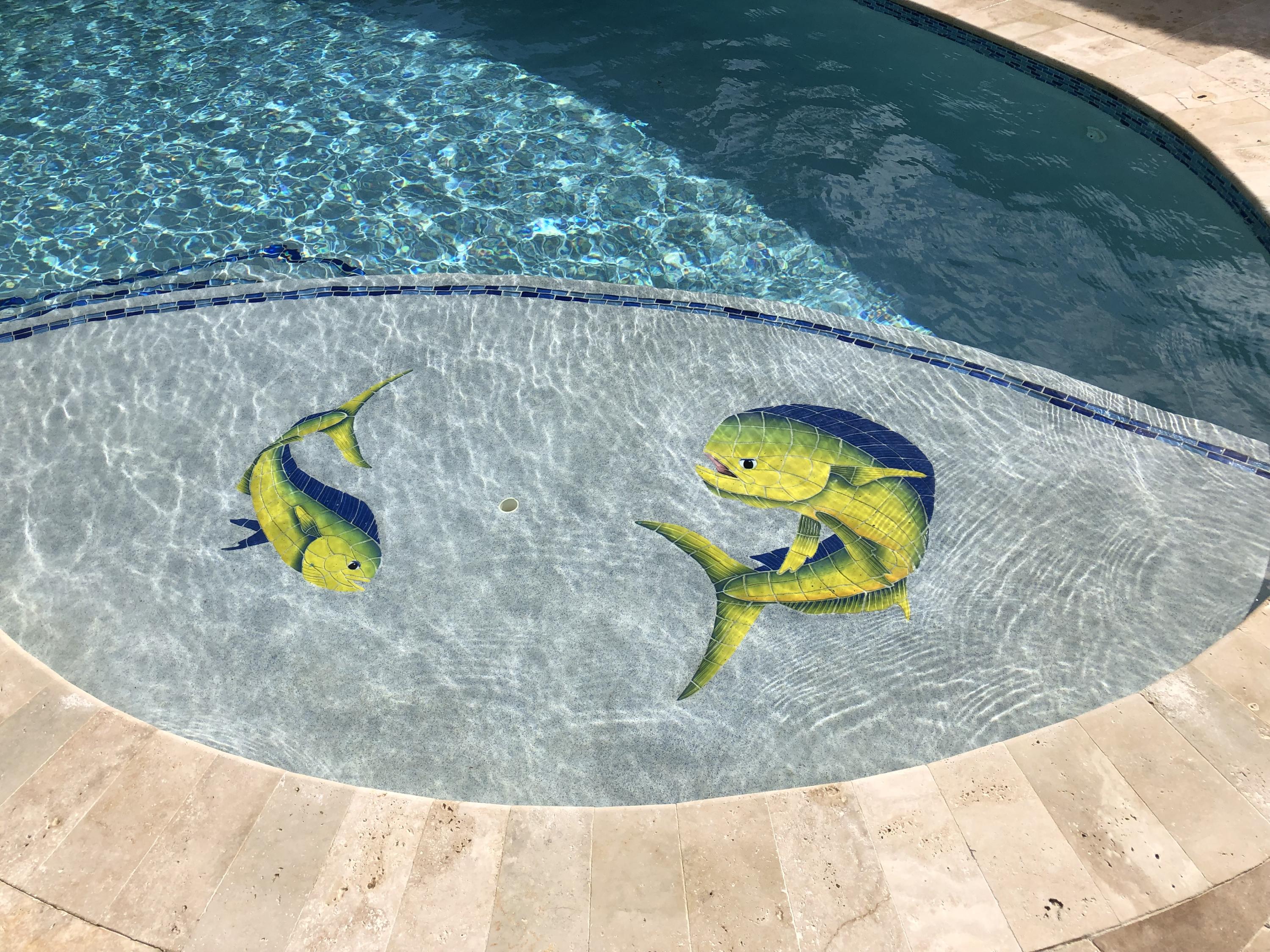 216 La Paloma Road Key Largo, FL 33037 - Photo 8 of 27 Pool Dolphins