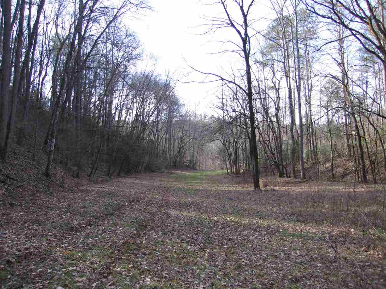 0 Towee Pike Reliance, TN 37369 - Photo 13 of 41