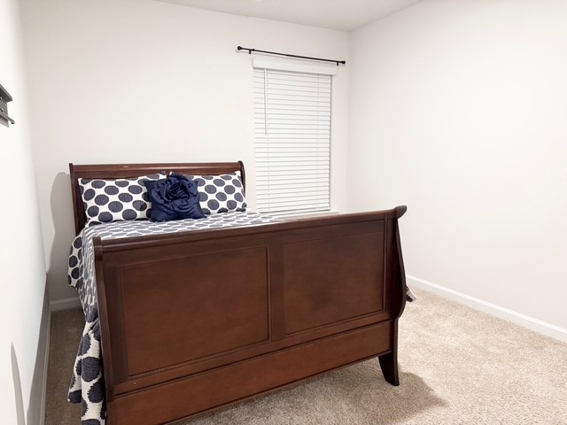 1434 Bella Grace Court Boiling Springs, SC 29316 - Photo 14 of 17