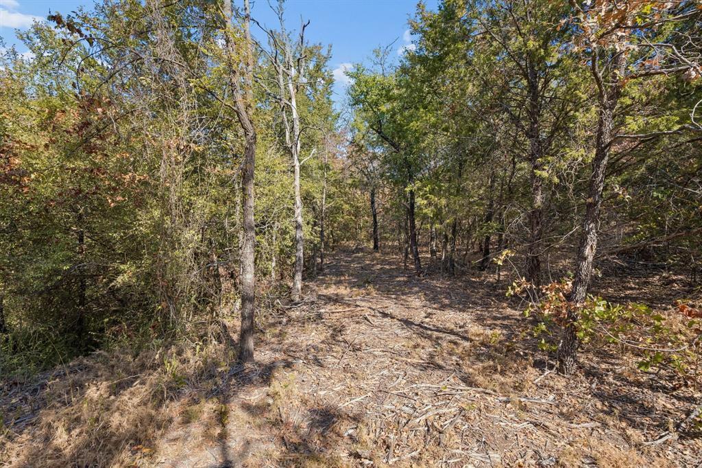 2301 Moseley Road Cross Roads, TX 76227 - Photo 17 of 28 Gallery Image 17