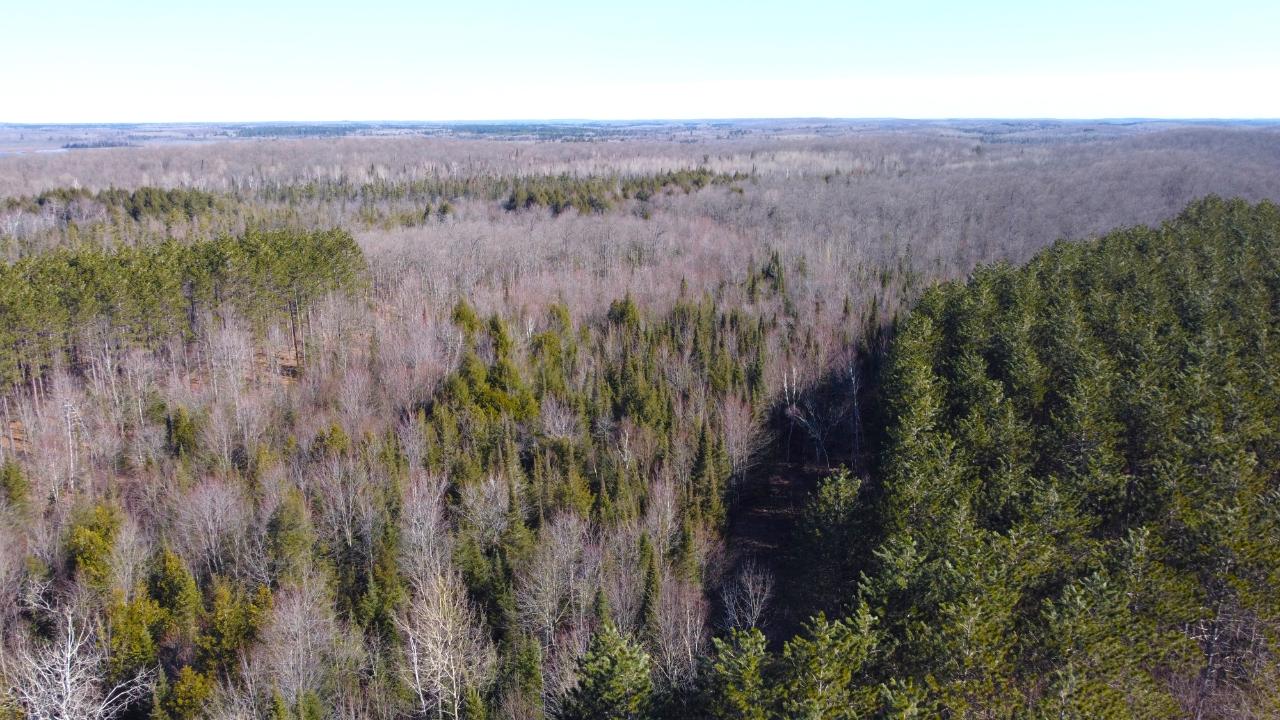 8 Old 8 Road Crandon, WI 54520 - Photo 6 of 39 Gallery Image 6