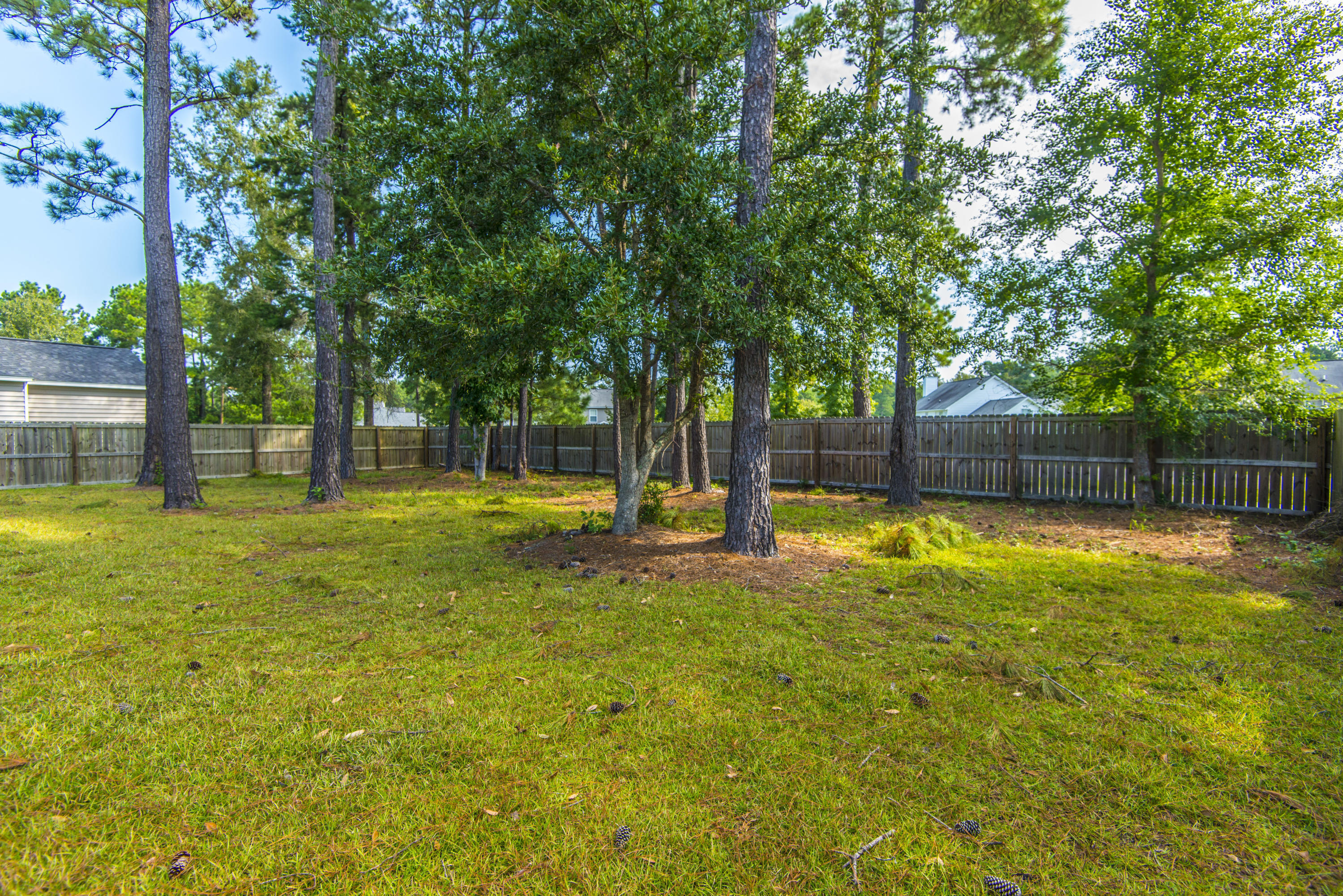 414 Black Horse Road Moncks Corner, SC 29461 - Photo 31 of 35 _DSC9308