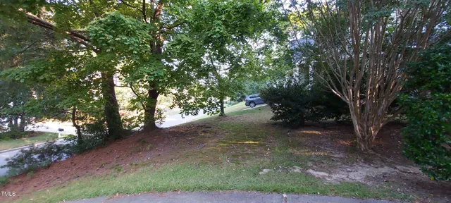 a view of a forest with trees