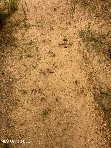 $224,000 | 8269 Highway 14, Goodman, MS 39079