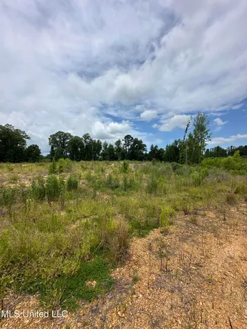 $224,000 | 8269 Highway 14, Goodman, MS 39079