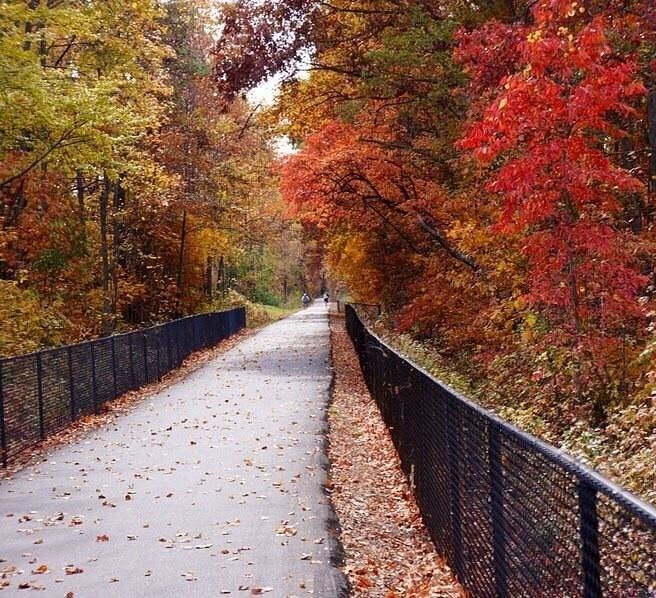 119 Wethington Way Travelers Rest, SC 29690 - Photo 5 of 9