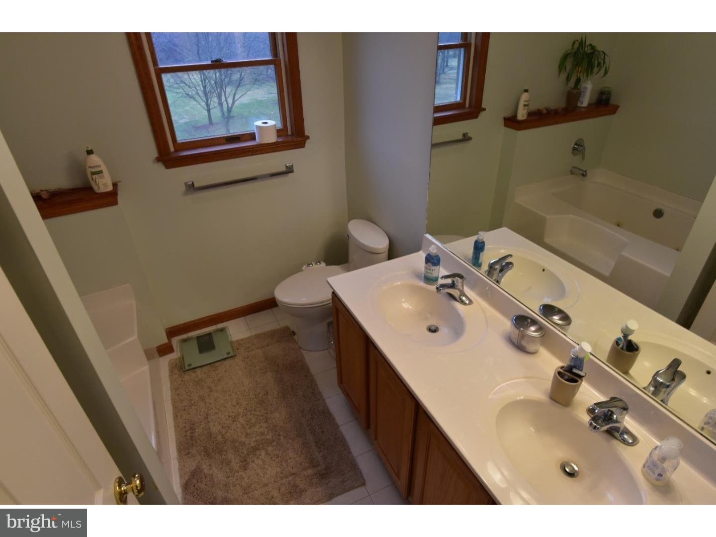 529 Province Line Road Allentown, NJ 08501 - Photo 13 of 21 a bathroom with a sink and a mirror