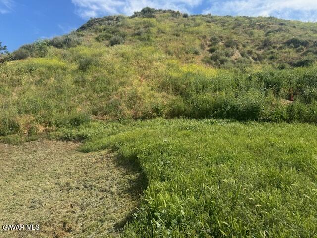 Garfield Street Val Verde, CA 91384 - Photo 17 of 20 IMG_1220