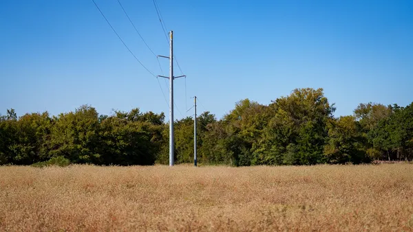 a view of a field with a tree in the background