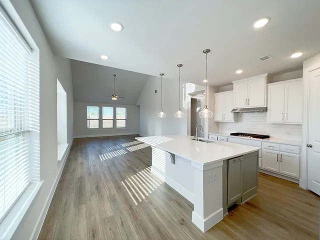a kitchen with a stove a sink and a refrigerator