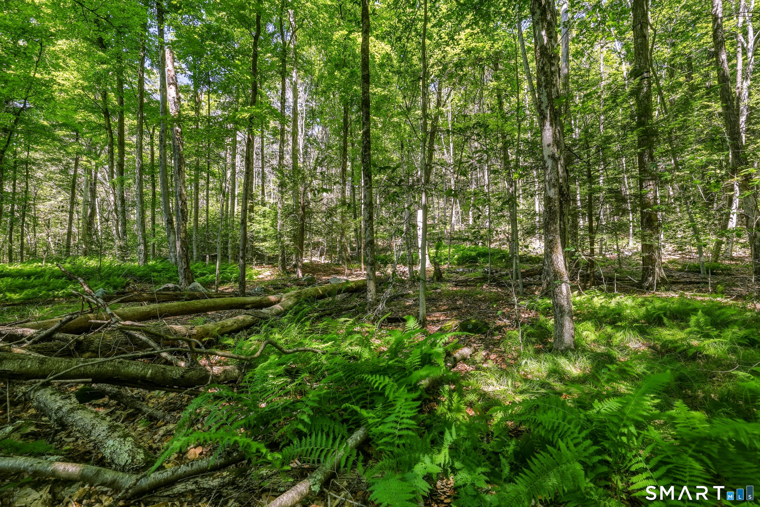 Ashley Road Winsted, CT 06098 - Photo 6 of 19