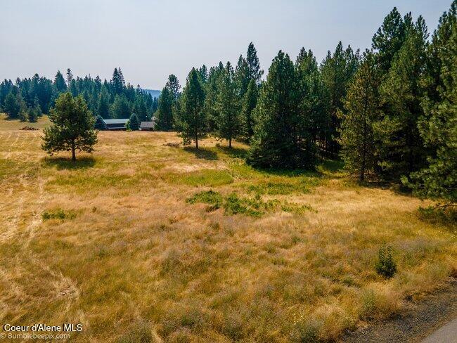 13534 South Ridgeview Drive Harrison, ID 83833 - Photo 17 of 70 019_bb193731-19_113