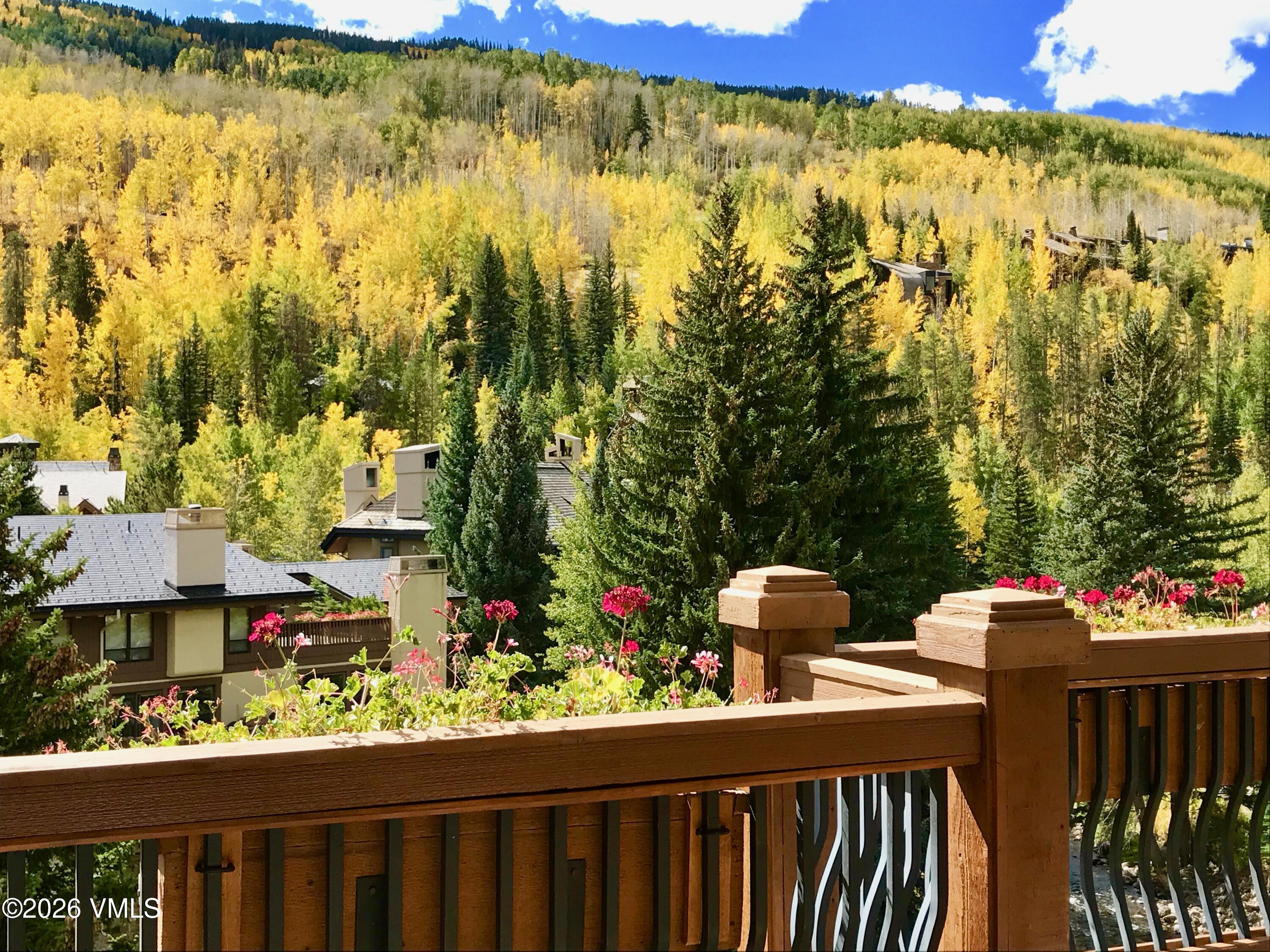 1 Willow Bridge Road, Unit 11 Vail, CO 81657 - Photo 3 of 38 Deck Views