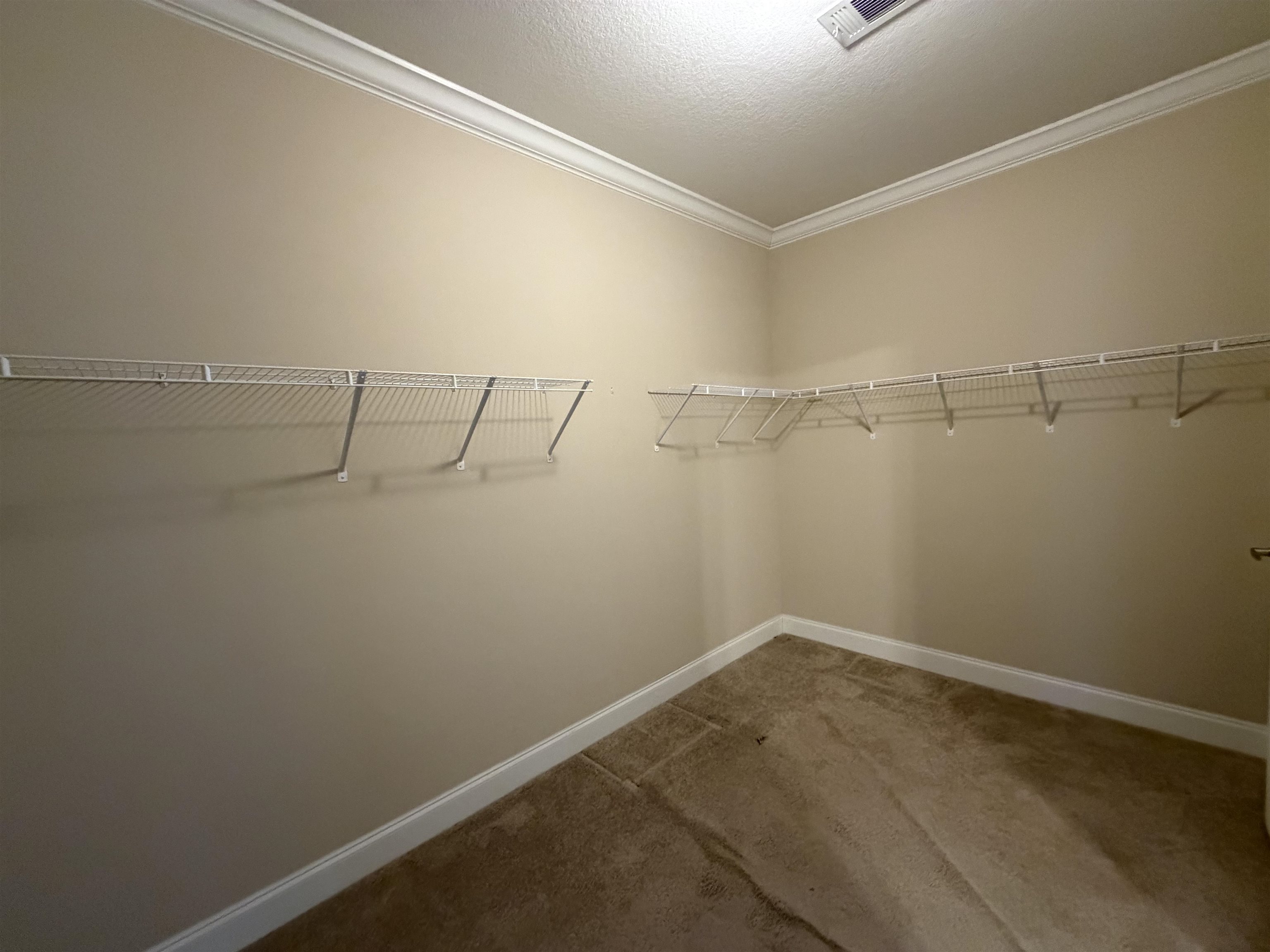 2434 Pellicer Road St. Augustine, FL 32092 - Photo 24 of 41 Spacious closet featuring carpet floors
