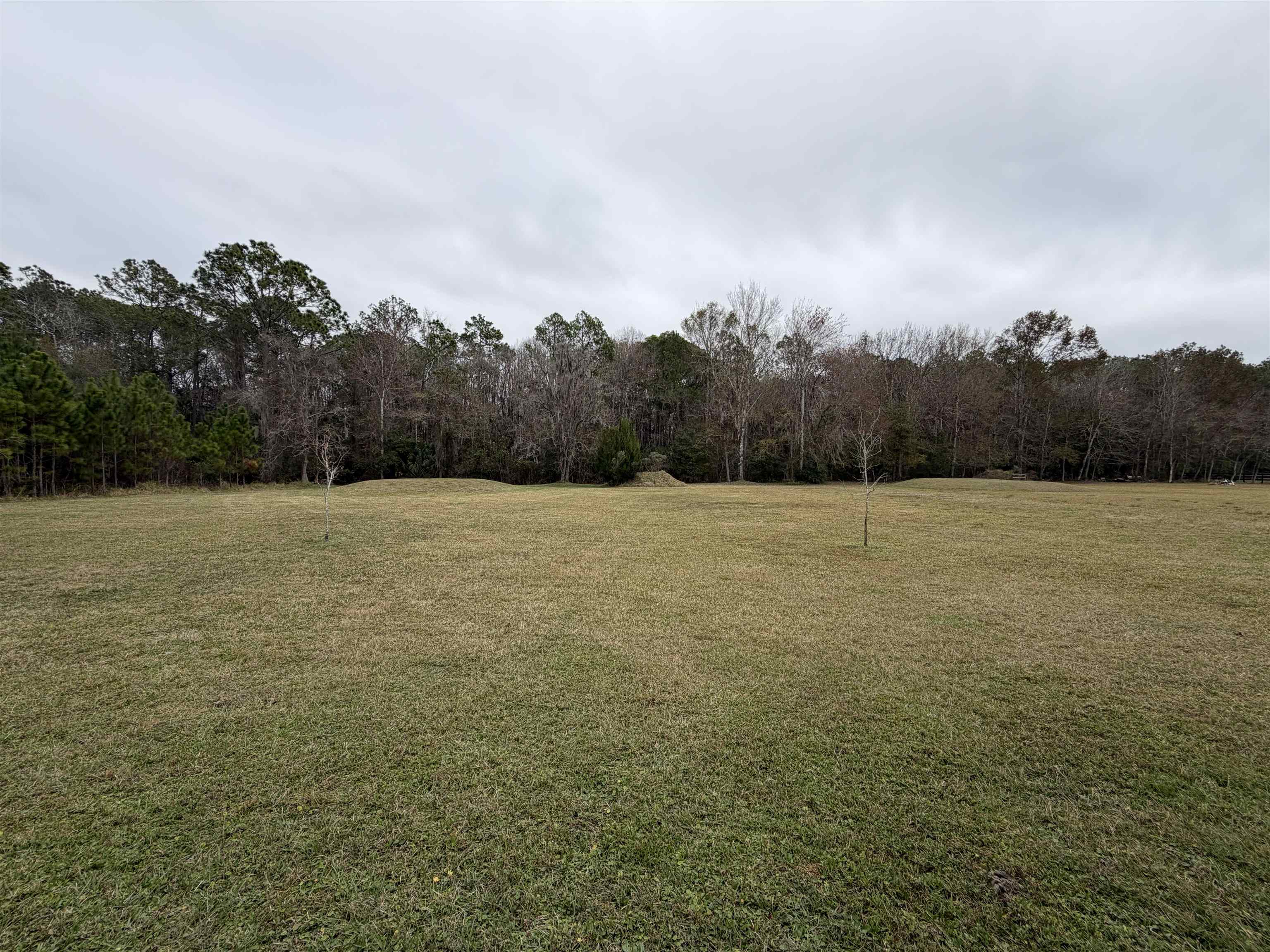2434 Pellicer Road St. Augustine, FL 32092 - Photo 5 of 41 View of grassy yard with a view of trees